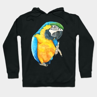 blue-and-gold macaw  ara ararauna parrot watercolor n.2 Hoodie